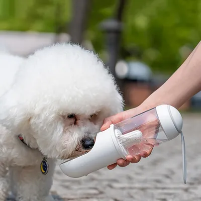 Bouteille d'eau filtrante portable pour chien, 330 ml