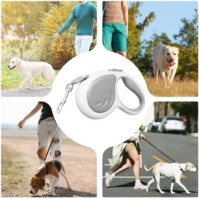 Living123 Laisses rétractables pour chiens
