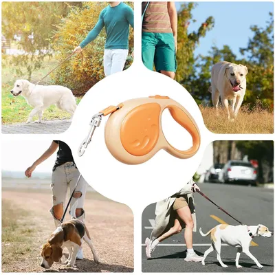 Living123 Laisses rétractables pour chiens