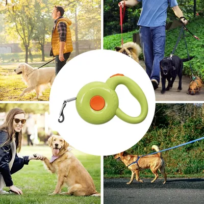 Corde de traction télescopique automatique pour chien, 300CM, Vert