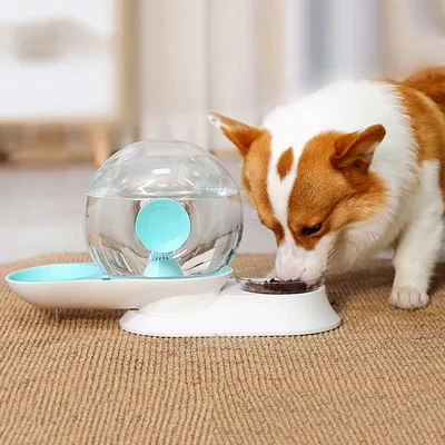 Ensemble d'alimentateur et de distributeur d'eau automatiques