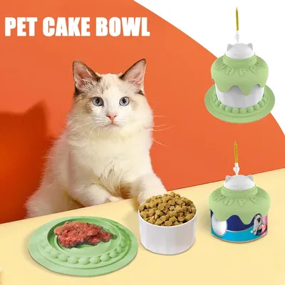 Bol multifonctionnel de nourriture et d'eau pour chiens et chiots