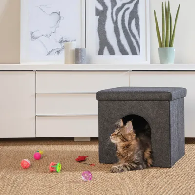 Kit de 6 jouets grelots pour chat