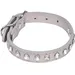 Collier chien strass