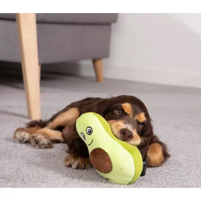 Jouet en peluche Poire pour chien