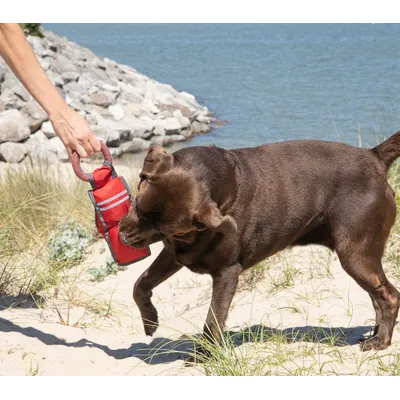 Jouet fitness pour chien