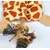 Jouet peluche Girafe et corde pour chien
