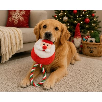 Jouet peluche Pere Noel et corde pour chien