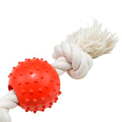 Jouet balle caoutchouc sur corde 33 cm