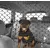 Filet de securite voiture pour chien