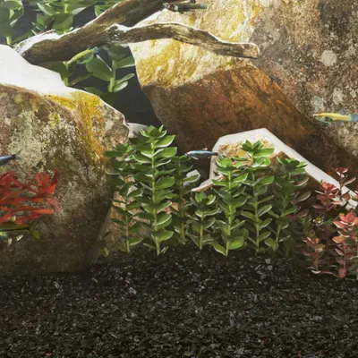 vidaXL sable d'aquarium Pierre