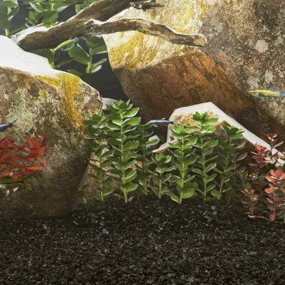 vidaXL sable d'aquarium