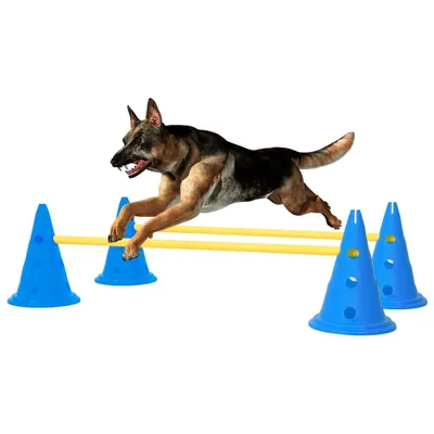 vidaXL obstacle d'activité pour chien Polyéthylène