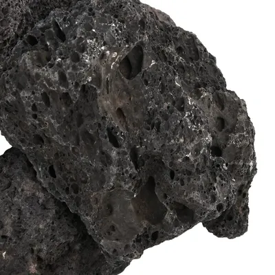 vidaXL roche volcanique Pierre