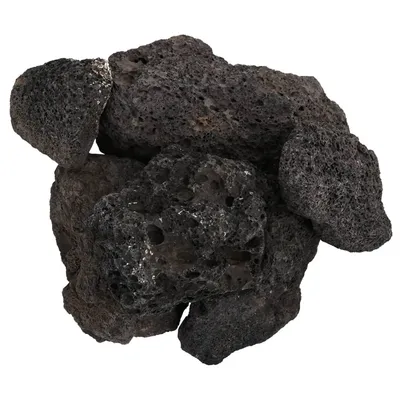 vidaXL roche volcanique Pierre