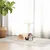 vidaXL poteau à chat Sisal vidaXL poteau à chat Sisal