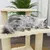 vidaXL arbre à chat