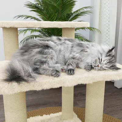 vidaXL arbre à chat