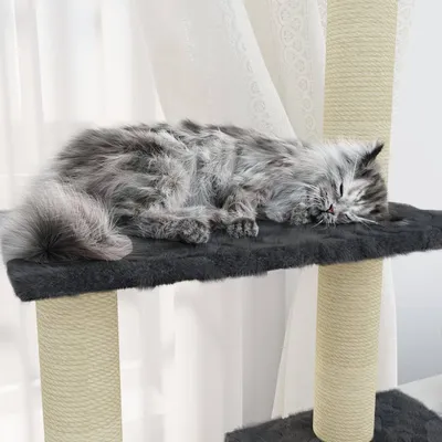 vidaXL arbre à chat Velours