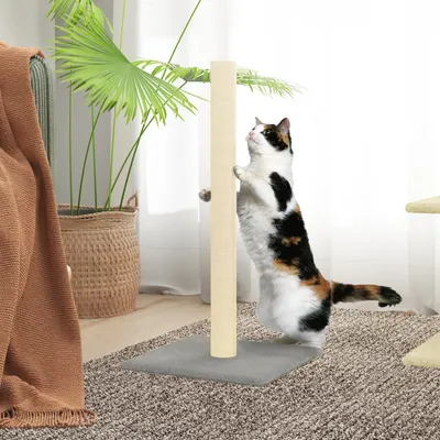 vidaXL poteau à chat Sisal