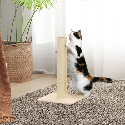 vidaXL poteau à chat Sisal