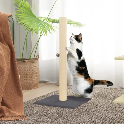 vidaXL poteau à chat Sisal