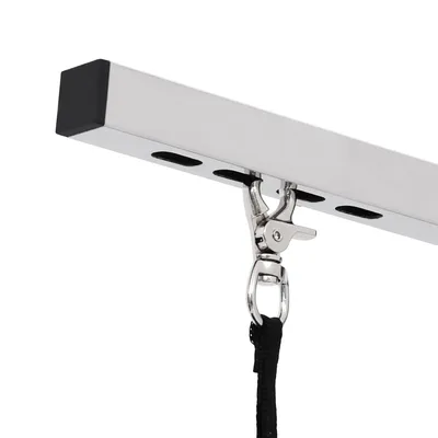 vidaXL table de toilettage pour chiens Acier