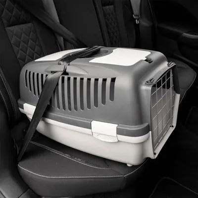 vidaXL cage de transport pour animaux de compagnie Polypropylène