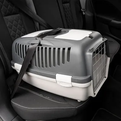 vidaXL cage de transport pour animaux de compagnie