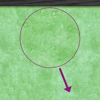 vidaXL clapier Bois de pin