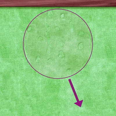 vidaXL clapier Bois de pin