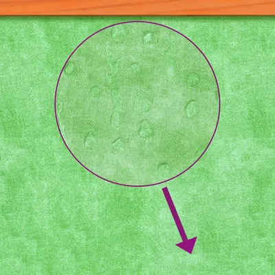 vidaXL clapier Bois de pin