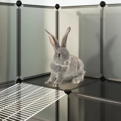 vidaXL cage pour animaux Polypropylène