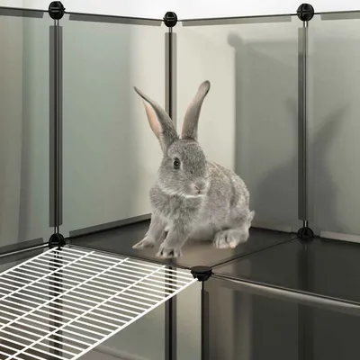 vidaXL cage pour animaux Polypropylène