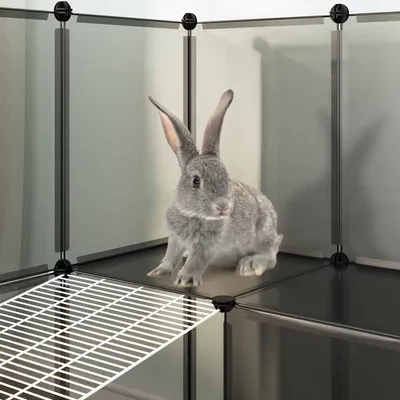 vidaXL cage pour animaux Polypropylène