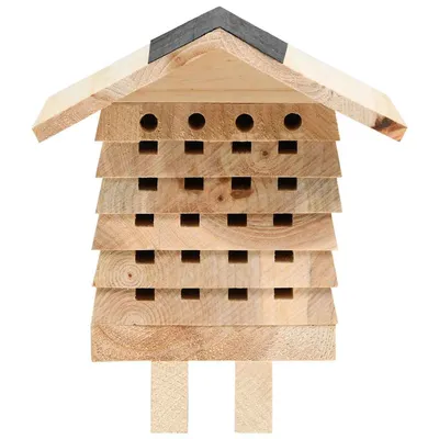vidaXL maison d'abeilles Bois