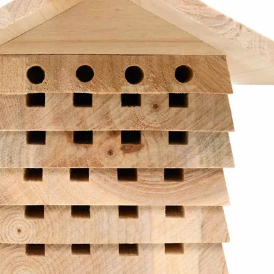 vidaXL maison d'abeilles Bois