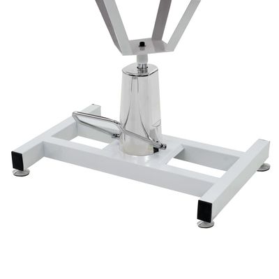 vidaXL Table de toilletage Acier inoxydable