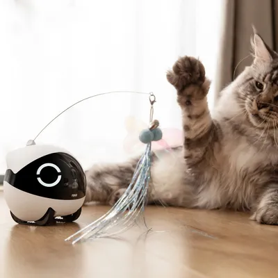 Accessoires pour caméra de surveillance Rola Mini - Accessoires pour jouets