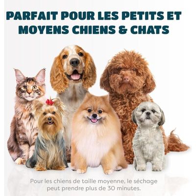 Karanimo Séchoir portable 2 en 1 pour chien et chat