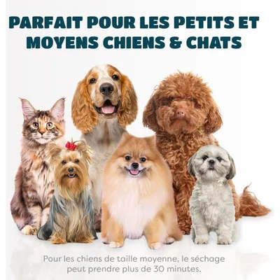 Karanimo Séchoir portable 2 en 1 pour chien et chat