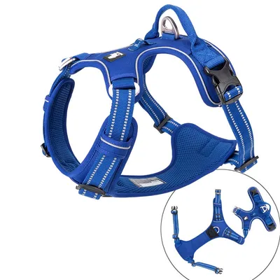 Truelove Country PLUS + Harnais chien dressage anti traction & promenade