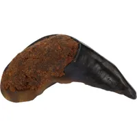 Flamingo - Friandise Nature 1 Sabot de buffle avec poumon 135g pour chien