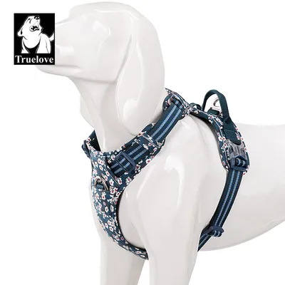 Harnais pour chien Truelove Country Plus Saxony Blue