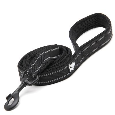 Laisse chien Truelove Walk assortie au harnais TRUELOVE Country PLUS