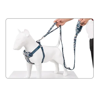Laisse chien Truelove Pull Spécial Edition Flower Laisse chien Truelove Pull Spécial Edition Flower