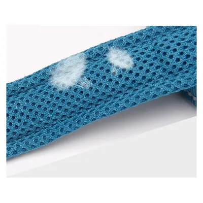 Laisse pour chien Truelove Walk