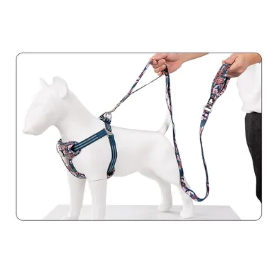 Laisse chien Truelove Pull Spécial Edition Flower Laisse chien Truelove Pull Spécial Edition Flower