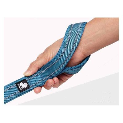 Laisse chien Truelove Walk assortie au harnais TRUELOVE Country PLUS