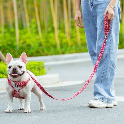 Laisse chien Truelove Pull Spécial Edition Flower